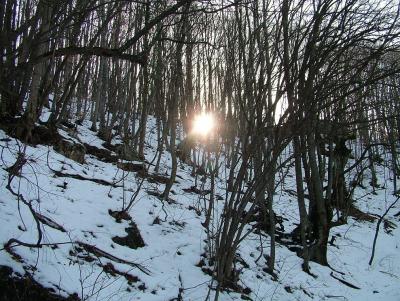 Прикрепленное изображение: DSCF3844.jpg